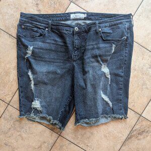 Torrid denim shorts